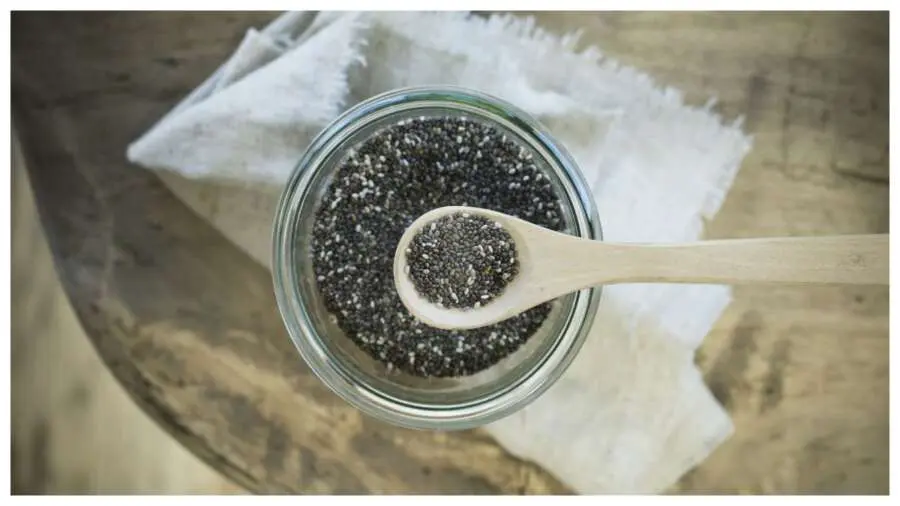 Chia seeds side effects: ये 8 चीजें चिया सीड्स को बना देती हैं जहर के समान, भूलकर भी एक साथ खाने की न करें गलती