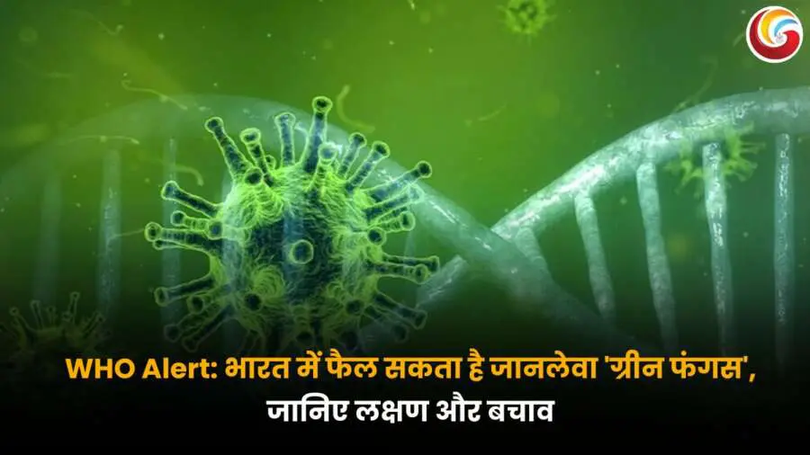 WHO Alert: ग्रीन फंगस और डीएनए संरचना की डिजिटल छवि, WHO की चेतावनी के साथ भारत में संक्रमण फैलने का संभावित खतरा दर्शाती हुई.