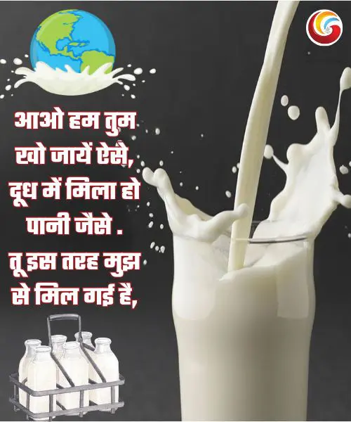 World Milk Day 2025