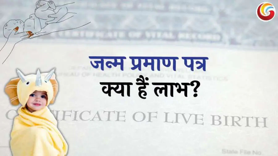 Birth certificate easy apply and important documents full information Birth certificate easy apply and important documents full information