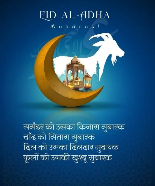 Eid Al-Adha Bakrid 2025 image to share on whatsapp facebook and instagram