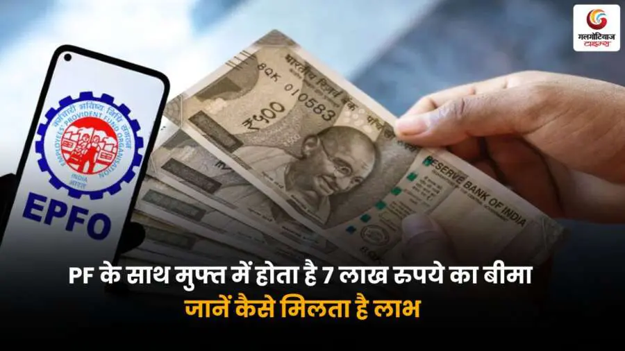 PF के साथ मिलता है 7 लाख रुपये का मुफ्त बीमा, जानिए कैसे पाएं लाभ