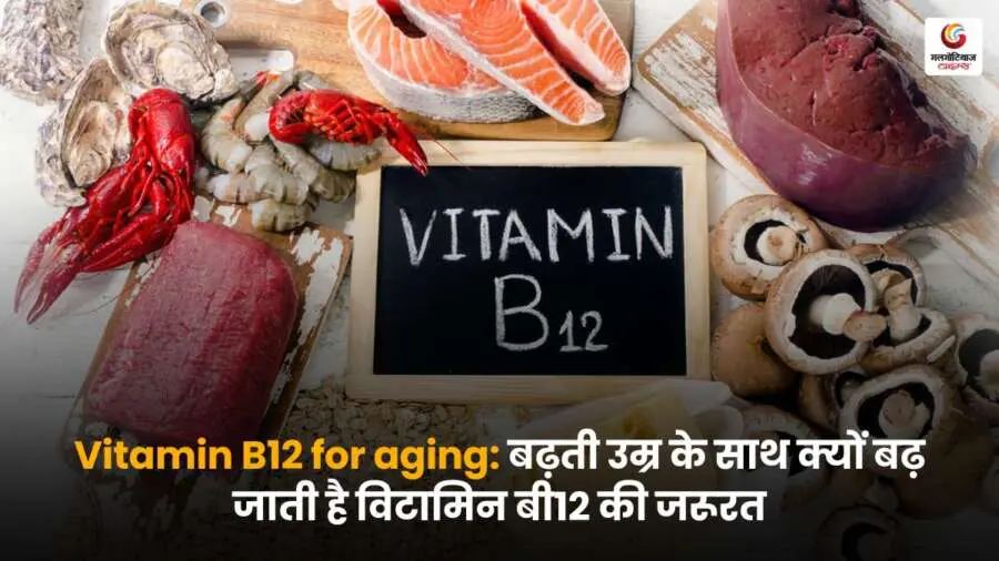 Vitamin B12 for aging