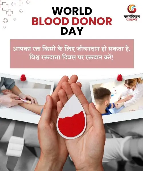 World Blood Donor Day Quotes captions and slogans with images to share on whatsapp facebook instagram World Blood Donor Day Quotes captions and slogans with images to share on whatsapp facebook instagram
