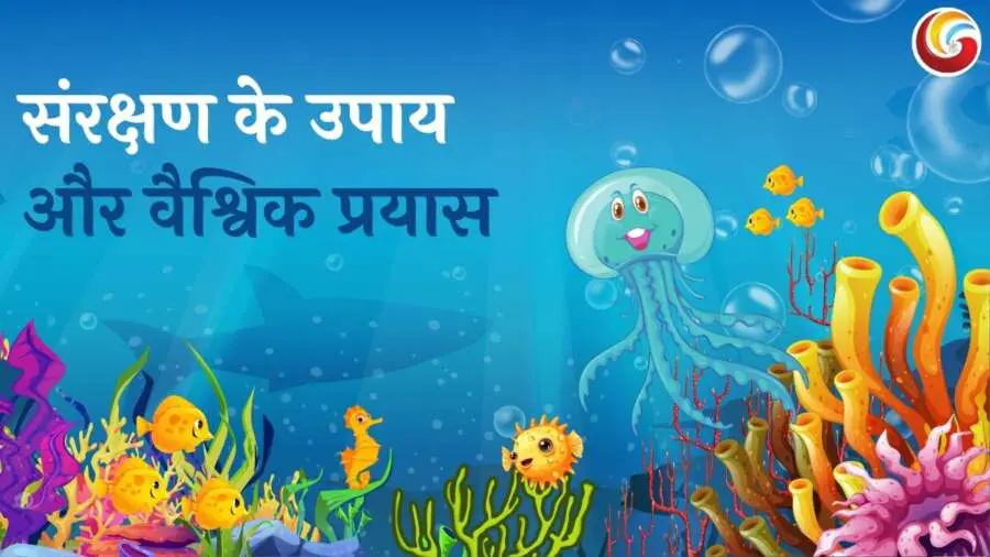 World Ocean Day 2025 Quotes & Captions World Ocean Day 2025 Quotes & Captions