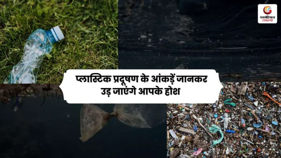 International Plastic Bag Free Day