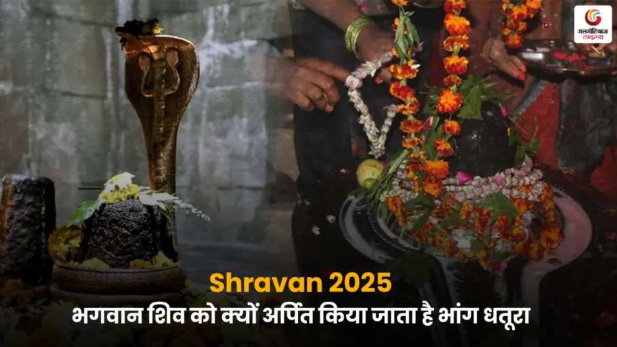 भगवान शिव को भांग और धतूरा अर्पित करने के पीछे की धार्मिक मान्यताओं और आध्यात्मिक कारणों को जानें, खासतौर पर श्रावण मास में.