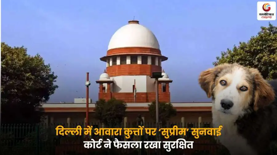 Delhi में आवारा कुत्तों पर 'Supreme Hearing on Stray Dogs' के दौरान सुप्रीम कोर्ट ने सुनवाई पूरी कर फैसला सुरक्षित रखा, जल्द ही अदालत अपना निर्णय सुनाएगी.