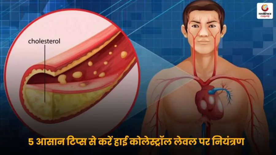 High Cholesterol Control Tips हाई कोलेस्ट्रॉल नियंत्रण के उपाय.
