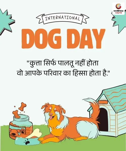 international dog day 2025 international dog day 2025