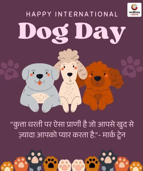 international dog day 2025 (2) international dog day 2025