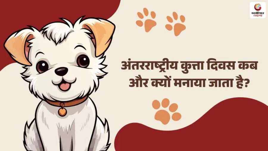 international dog day 2025 (2) international dog day 2025