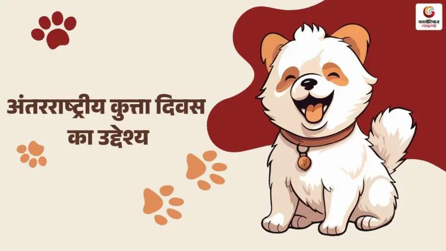 international dog day 2025 (3) international dog day 2025