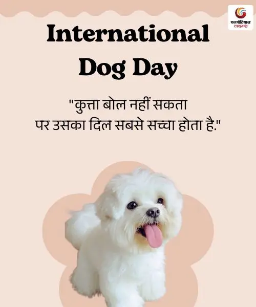 international dog day 2025 (4) international dog day 2025