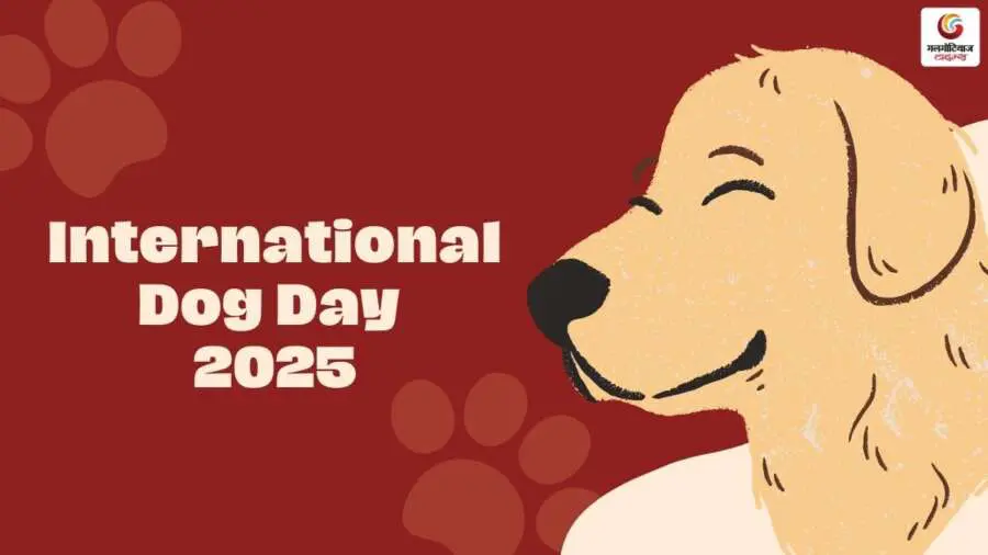 international dog day 2025