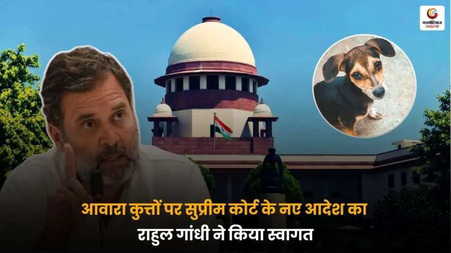 Supreme Court Stray Dogs Order पर राहुल गांधी का बयान.