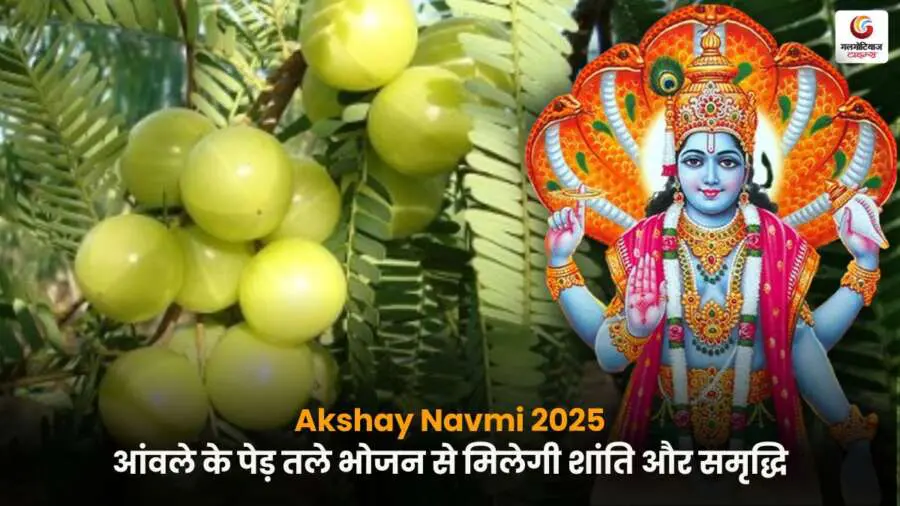 Akshay Navmi 2025 आंवले के पेड़ के नीचे भोजन से शांति और समृद्धि.