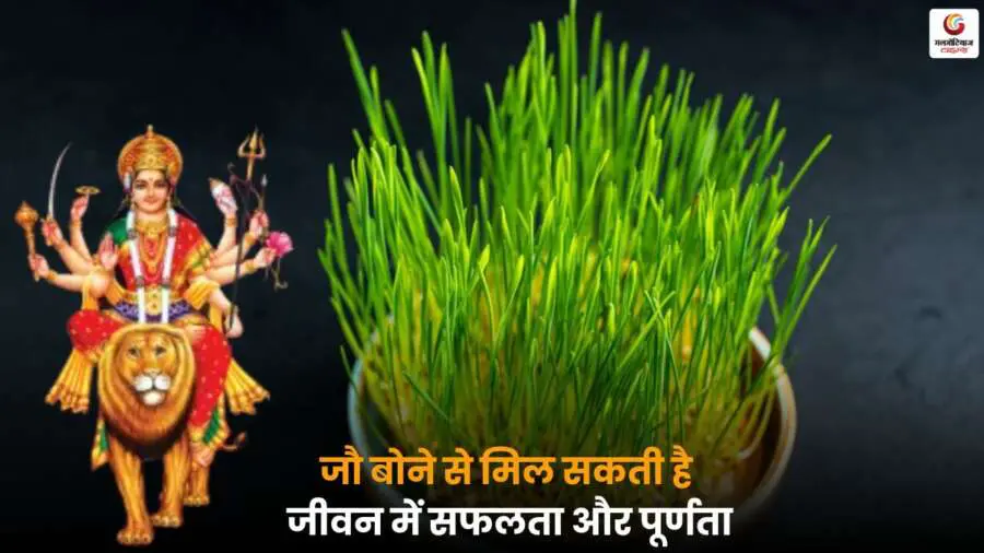 Barley Life Success – जौ बोने से जीवन में सफलता और पूर्णता का महत्व.
