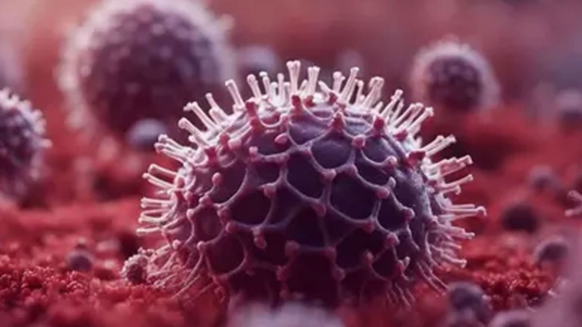 Nipah Virus