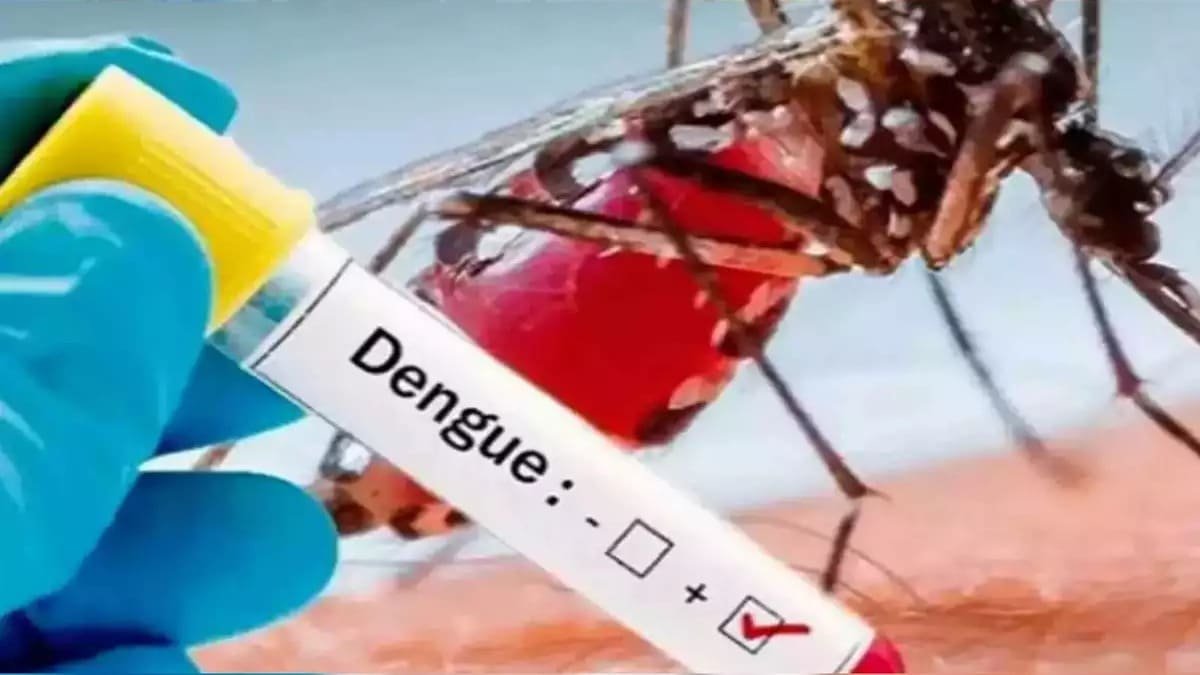 dengue viral infection