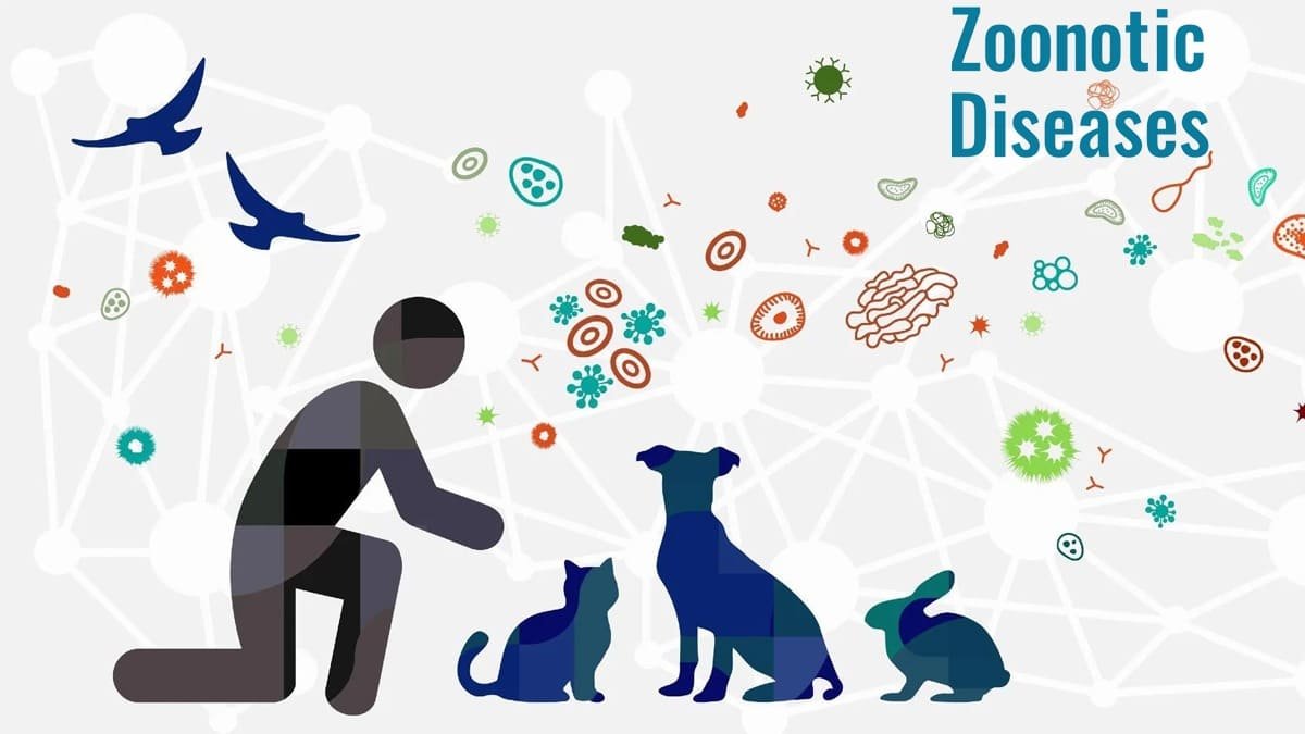 zoonotic diseases