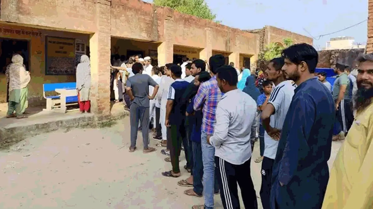 voting in haryana