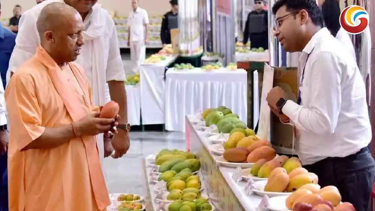 focus of up government on mango export