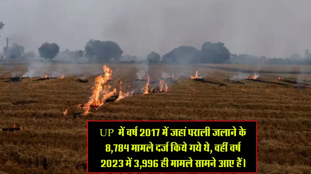parali burning cases decline in up