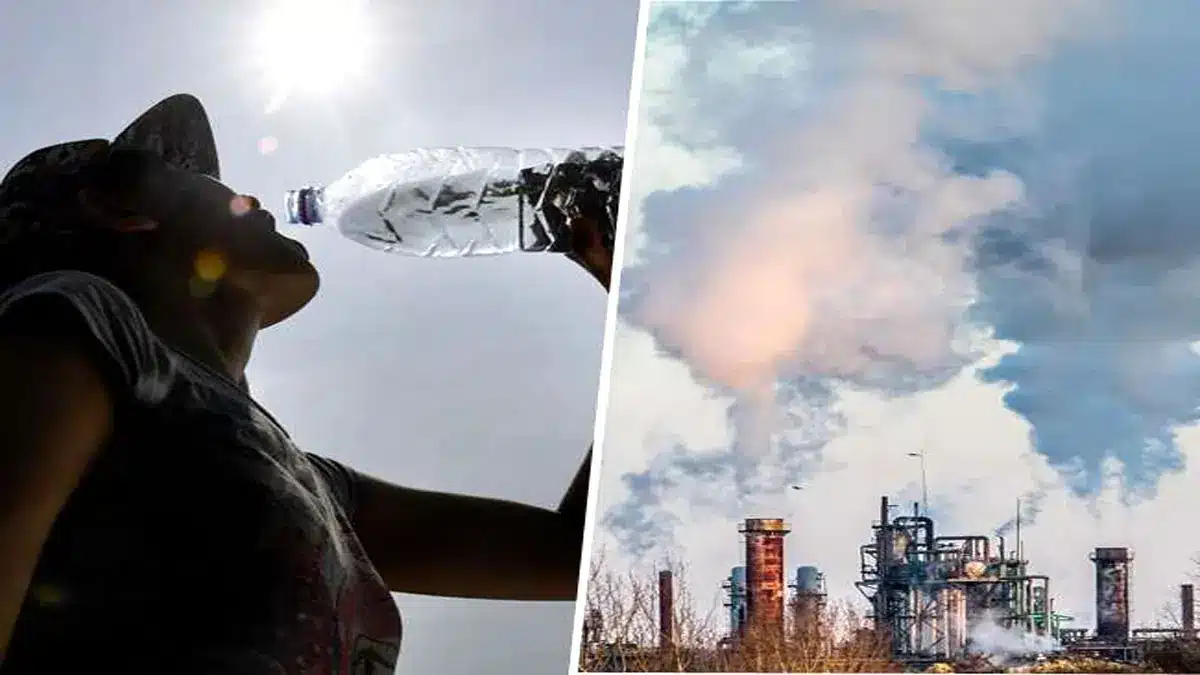 rising deaths due to pollution