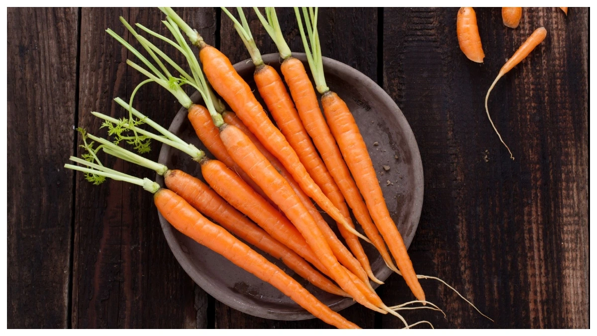 Carrots Health Benefits: गाजर को इन 5 वजहों से जरूर बनाना चाहिए अपनी डाइट का हिस्सा, आप भी जानिए इसके कमाल के फायदे