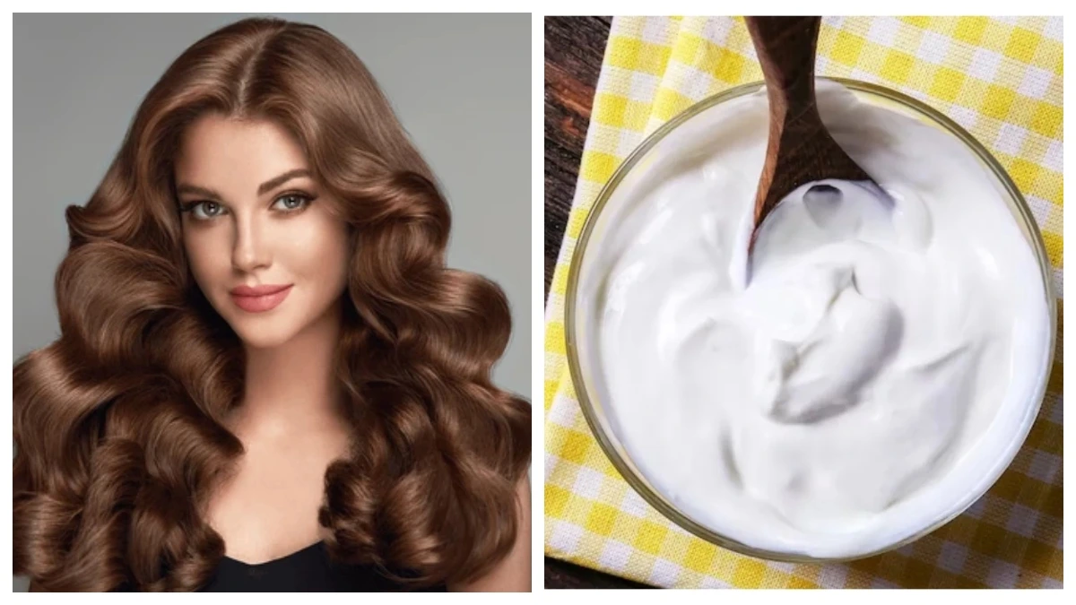 DIY Malai Hair Pack: मलाई से दूर की जा सकती है फ्रिजी हेयर की समस्या, बस इन 3 तरीकों से करना होगा इस्तेमाल