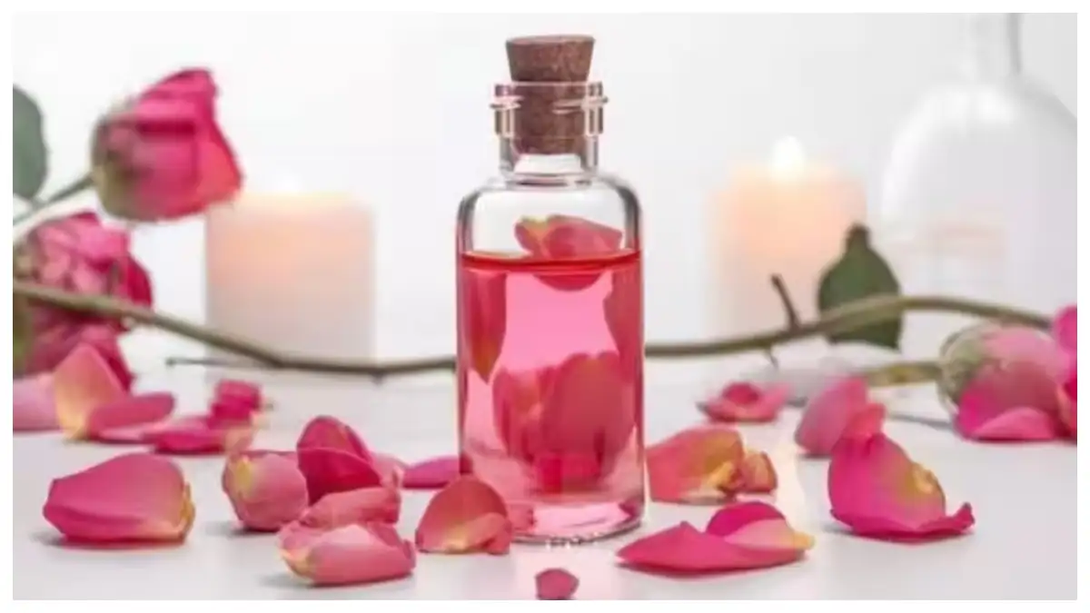 Rose water side effects on skin