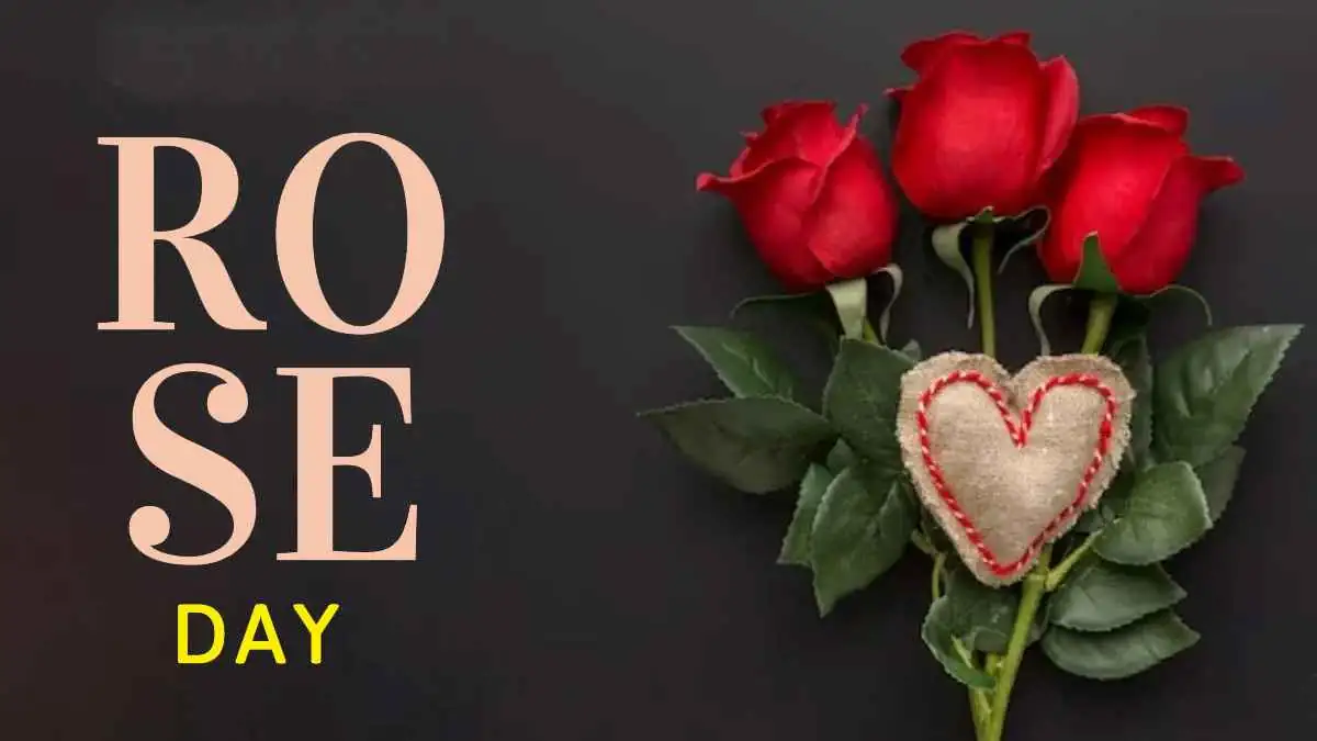 Rose Day 2025: Celebrate Love with Beautiful Roses