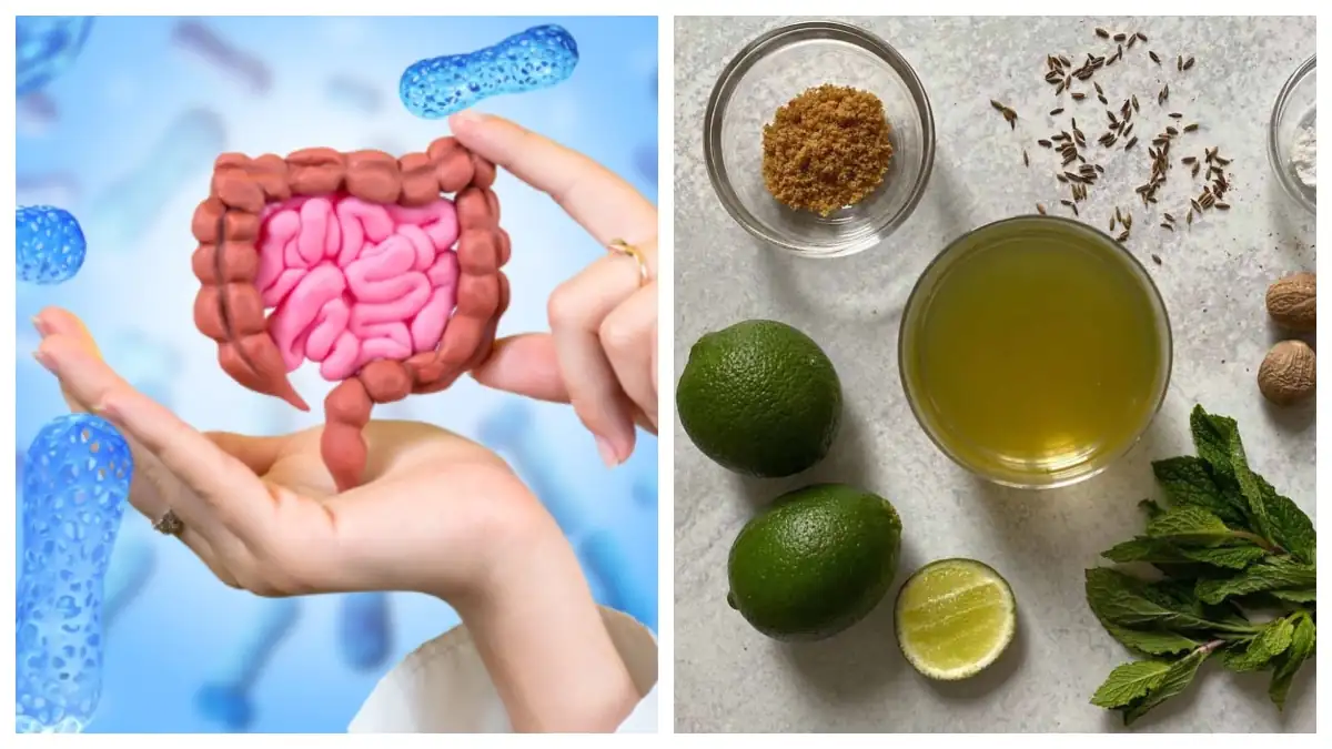 Gut Health