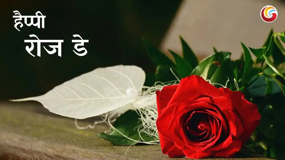 happy rose day