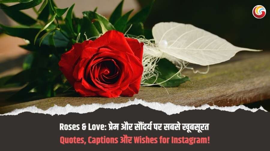 roses & love share it on whatsapp, instagram & facebook