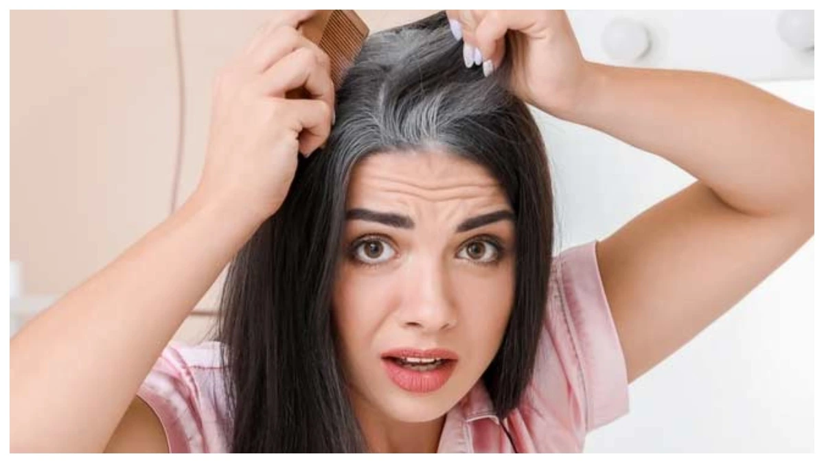 Grey Hair Treatment: उम्र से पहले ही होने लगे हैं बाल सफेद? काला करने के लिए आजमाएं ये 5 नेचुरल तरीके