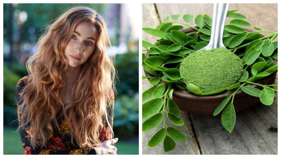 मोरिंगा पाउडर और अन्य प्राकृतिक सामग्रियों से बना हेयर मास्क, जो बालों को मजबूत और घना बनाने में मदद करता है।