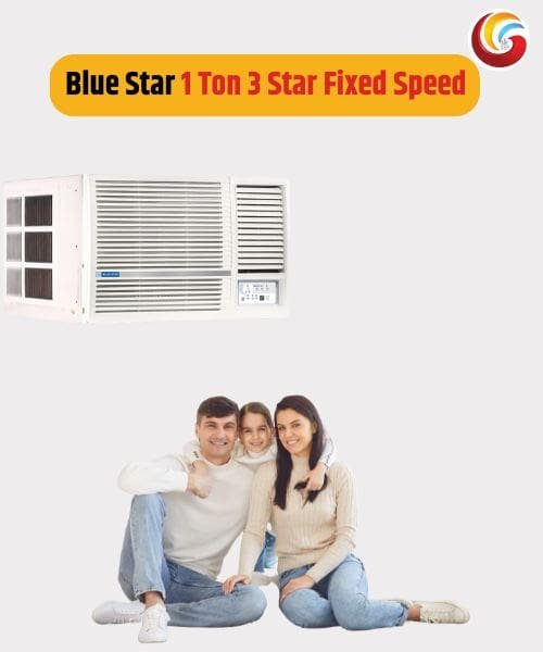 blue star 1 ton 3 star fixed speed window ac