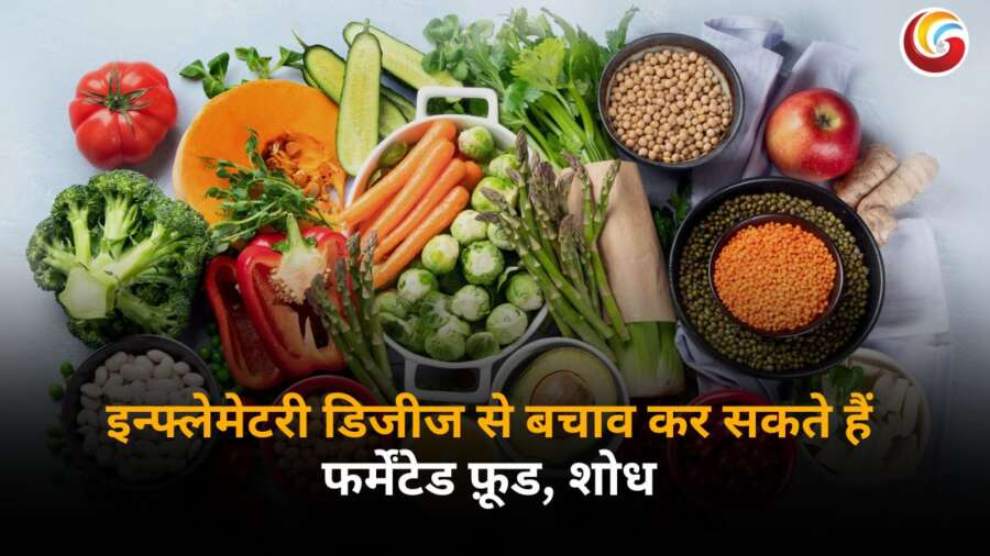 Fermented Food जैसे दही, किमची और अचार की थाली