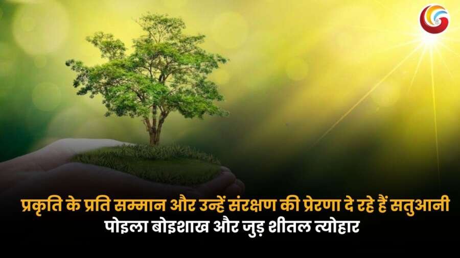 सतुआनी (Satuan) पर्व का प्रतीकात्मक चित्र जिसमें प्रकृति संरक्षण और परंपरा का संदेश देने वाला पेड़ हाथों में थामा गया है.