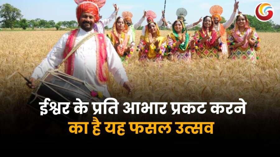 वैसाखी के अवसर पर पारंपरिक पोशाक में पंजाबी लोग खेतों में नृत्य करते हुए, फसल उत्सव के दौरान ढोल बजाते हुए.