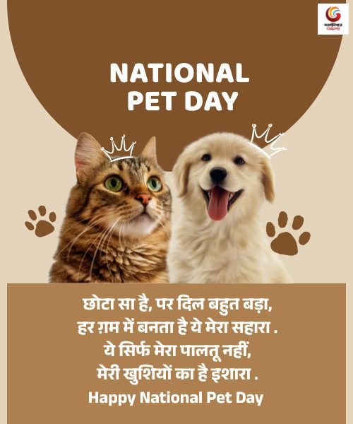 national pet day share on whatsapp instagram facebook