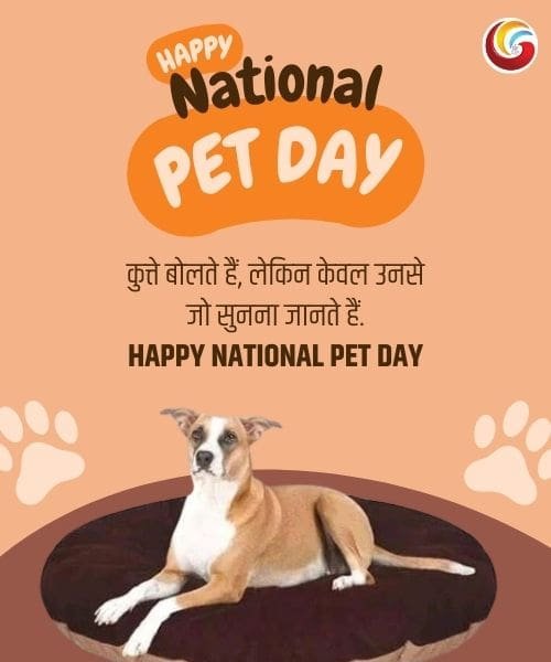 national pet day share on whatsapp instagram facebook