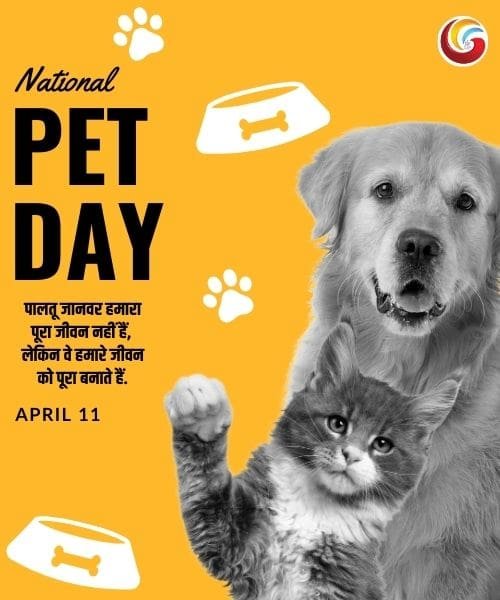 national pet day share on whatsapp instagram facebook