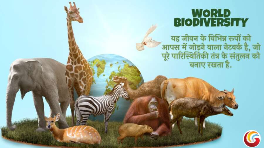 World Biodiversity Day Share on Whatsapp Facebook Instagram