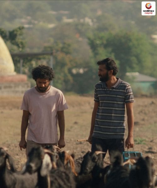 Cactus Pears, Sabar Bonda new movie release this week