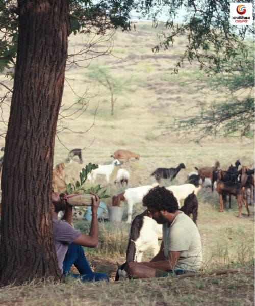 Cactus Pears, Sabar Bonda new movie release this week