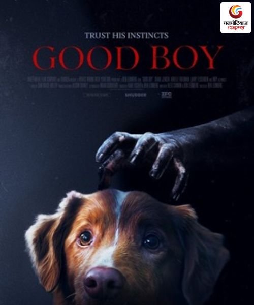 Good Boy new movie release this week