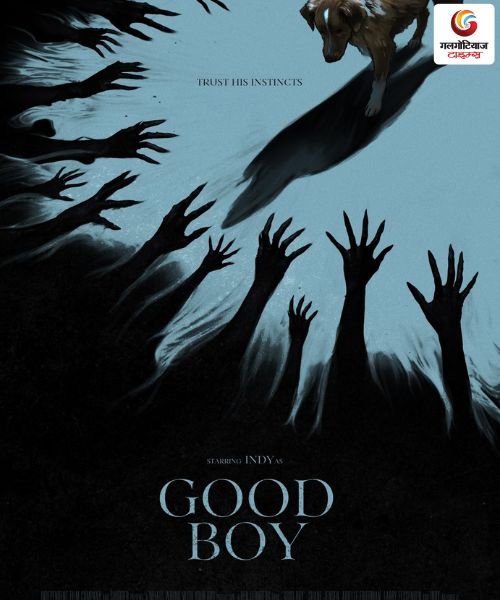 Good Boy new movie release this week